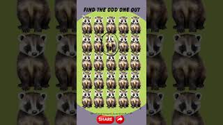 Can You Find The Odd One Out? Test Your Reflexes 166