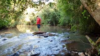 Paraguay 9 Ha in Bella-Vista, Fluss, Wald: 5 Ha Eukalyptus