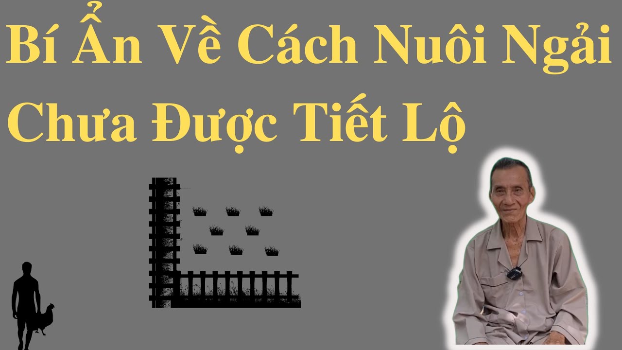 Bí Ẩn Về Cách Nuôi Ngải Chưa Từng Được Tiết Lộ | Ông Út Kể Chuyện