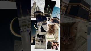 ali mola islamic #vido #allah #allahuakbar #quran #shortvideo #viralvideo #fyp #islamicvideo #islam