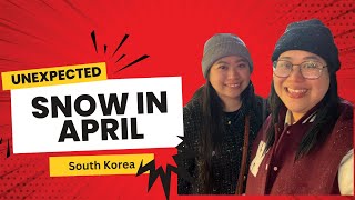 The Snow Experience in South Korea in April   Last-Minute Shopping!