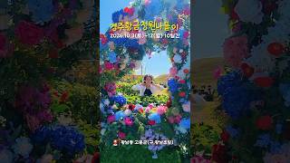 🌼 가을꽃 보러 경주 갈 사람~?! #경주황금정원나들이