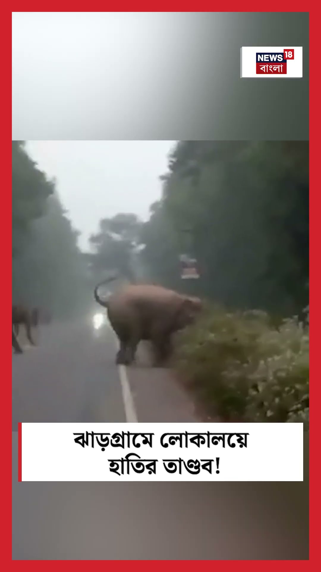 Jhargram এর লোকালয়ে হাতির তাণ্ডব #shorts