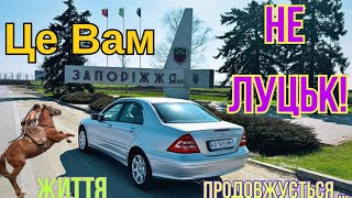 Запоріжжя 😱Це вам не ЛУЦЬК ❗️АВТОПДОЩАДКИ🚙