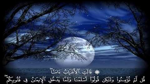 الشيخ عبده عبد الراضي - سورة الحجرات { قَالَتِ الْأَعْرَابُ آَمَنَّا ....}
