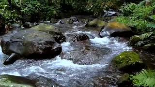 The Melody of Flowing Waters in Mountain Streams
