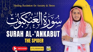 29 Surah Al-Ankabut | Deeply Heart-Touching Qur’an Recitation for Inner Peace | Sheikh Alaa Aqel