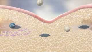 Uth Skin Rejuvenation Creme by Mannatech