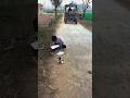 ఈ అబ్బాయి🧑‍🦰వక😱మంచి Drawing🌅 ఆనంద్ వస్తాడు🥰#viral#ytshorts#shortsfeed#trendingvideo#shortvideo