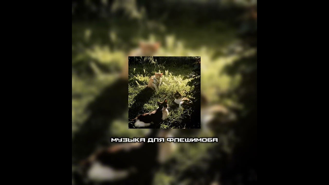 Музыка для флешмоба