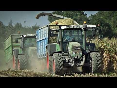 Kiszonka 2018 ✔