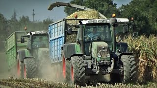 Kiszonka 2018 ✔ 3xCASE, 2xFENDT & CLAAS [ROMAX] ☆ MAS HULK ✔ MafiaSolec