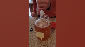 How To Use the Three Piece Airlock #applecider #ciderlover #craftcider #cider #hardcider