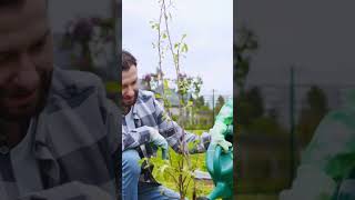 From 50 Million to 2 Billion Trees   #shorts #trees #treeplanting #shortsfeed #shortsvideo