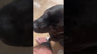 I Watch Him Poop... But This Is Too Far