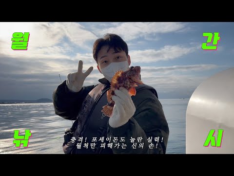 우리가 여행을 특별하게 기억하는 방법 - 커플 체험 낚시, 고양이가 가득한 카페 리, 제주 오마카세, 숙소 추천 디어노이, 캠퍼트리, 면세점 르라보, 유자 사케, 신혼부부 브이로그