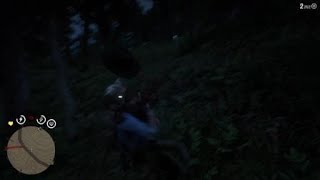 Red Dead Redemption 2 wtf?