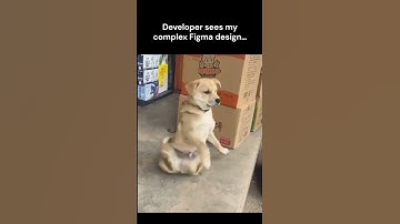 When a developer see a complex Figma design for the first time. #designer  #designmeme #developer
