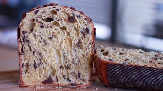 How to Make Sourdough Panettone | No Stiff Starter Needed