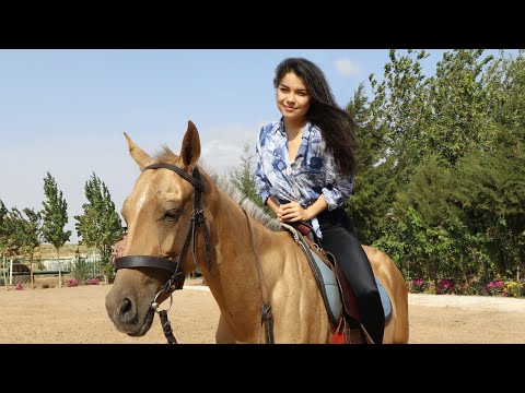 Βίντεο: Το Τουρκμενιστάν θα διοργανώσει το «Horse Beauty»