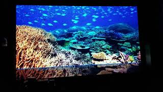 Sample of what the epson 5040ub can do on a 115 screen