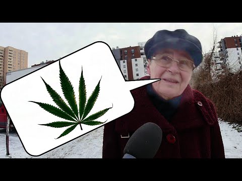 Medyczna Marihuana w Aptekach? Sonda uliczna