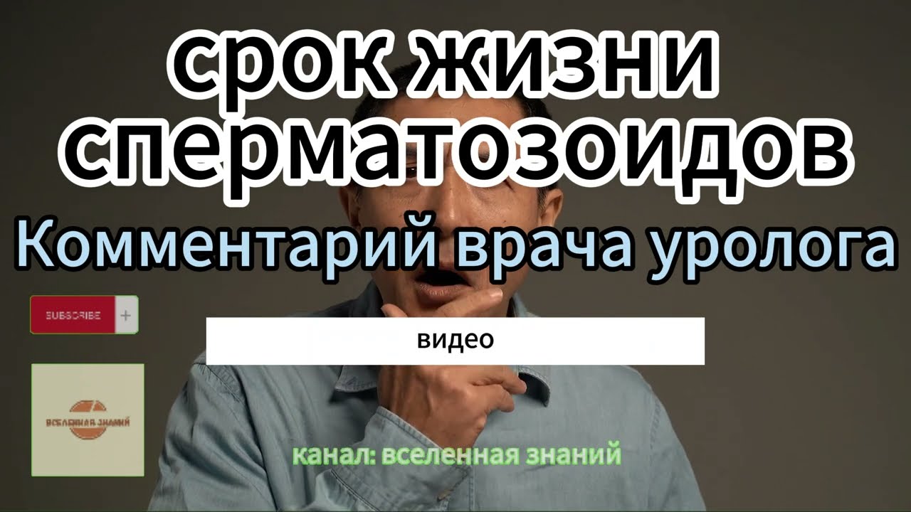 046-124 Срок жизни сперматозоидов. Комментарий врача уролога.
