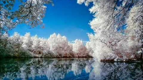 سورة البقرة الشيخ عبد الله خياط قراءة صافية ونقية