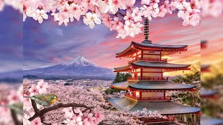 Quebra-Cabeça Monte Fuji de 5.000 peças (Grow) - Timelapse