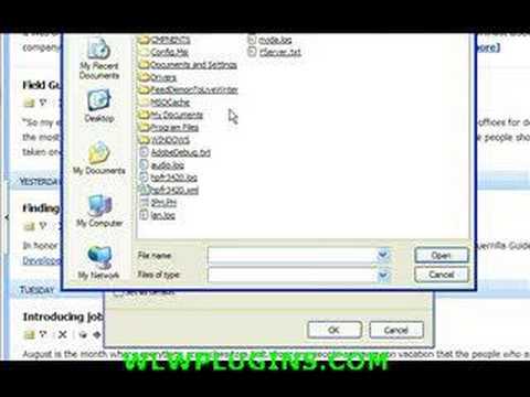How to post from FeedDemon to Windows Live Writer