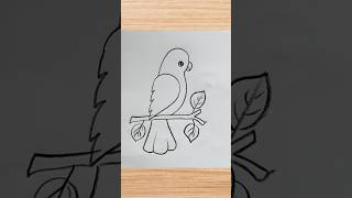How to draw parrot drawing easy step by step