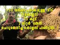 130 വര്‍ഷം പഴക്കമുള്ള വീട്ടില്‍ നിന്നും തേന്‍ എടുക്കുന്നു | Cherutheneecha colony hunting