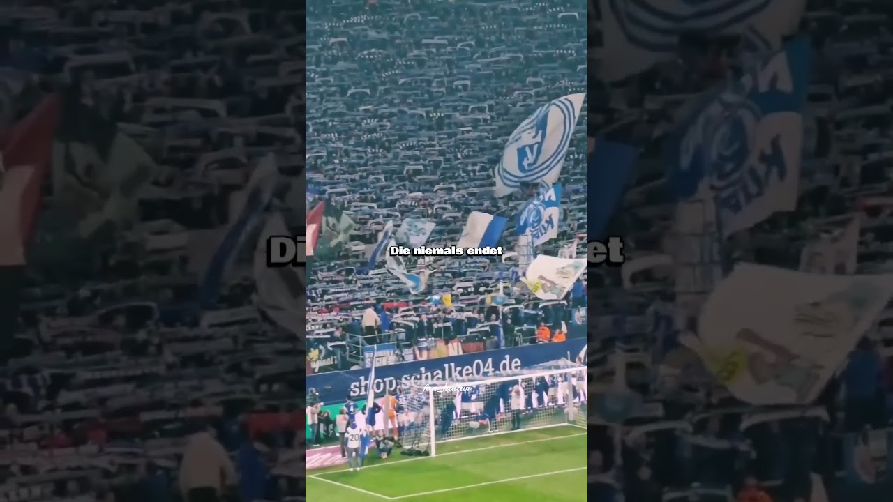 Schalke 04! Kennst du den Mythos vom Schalker Markt? 🔵⚪ 