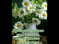 С ДОБРЫМ УТРОМ!!! 🌼🌼🌼 Христианское пожелание