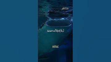 تلاوة خاشعة لآية: وَذَا ٱلنُّونِ إِذ ذَّهَبَ مُغَٰضِبٗا –القارئ  معاذ الخلطي #explore