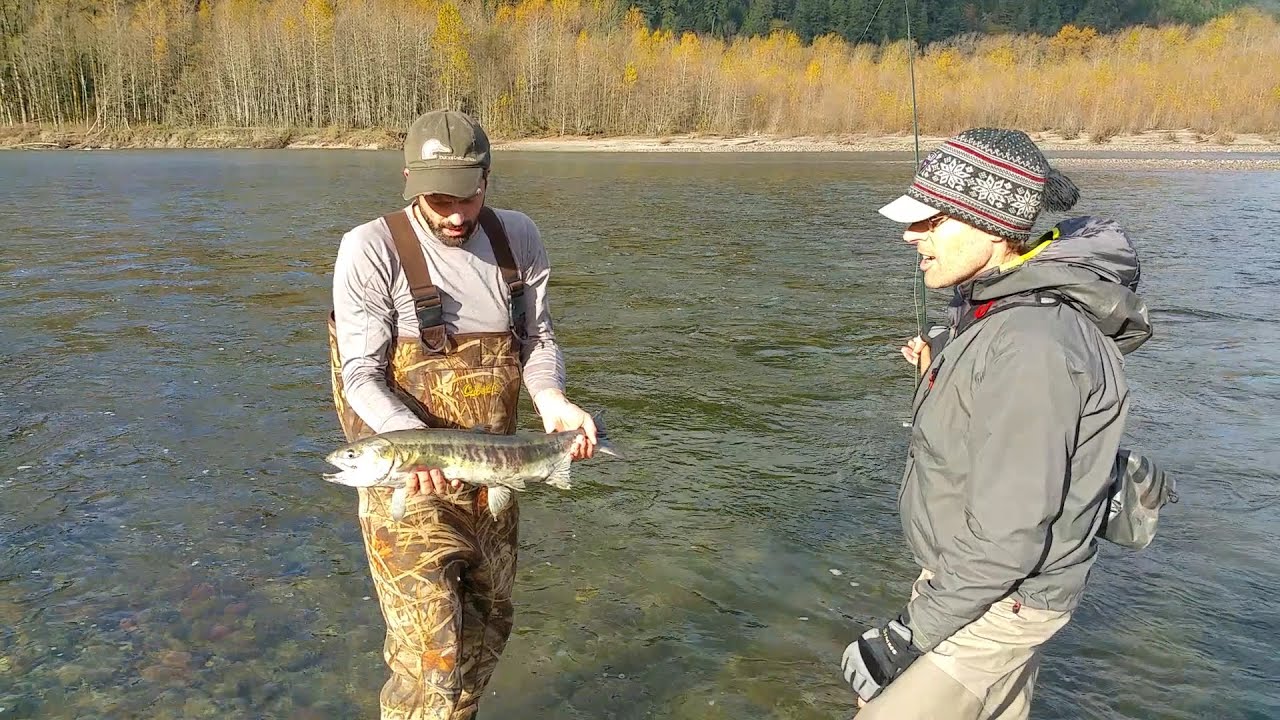 Squamish Fly Fishing! YouTube