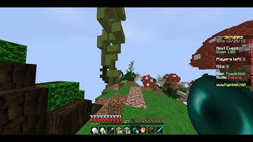 Example for Hypixel Forums [Team]