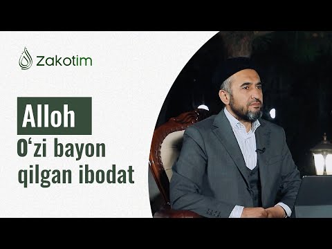 Video: Bolada Hırıltı: Signalni Qachon Berish Kerak