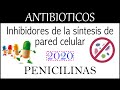 Antibióticos: Penicilinas