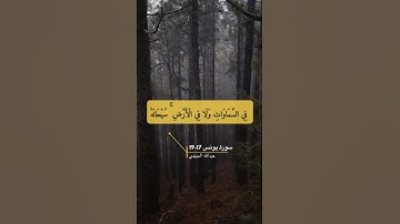 سورة يونس الآية 17-19