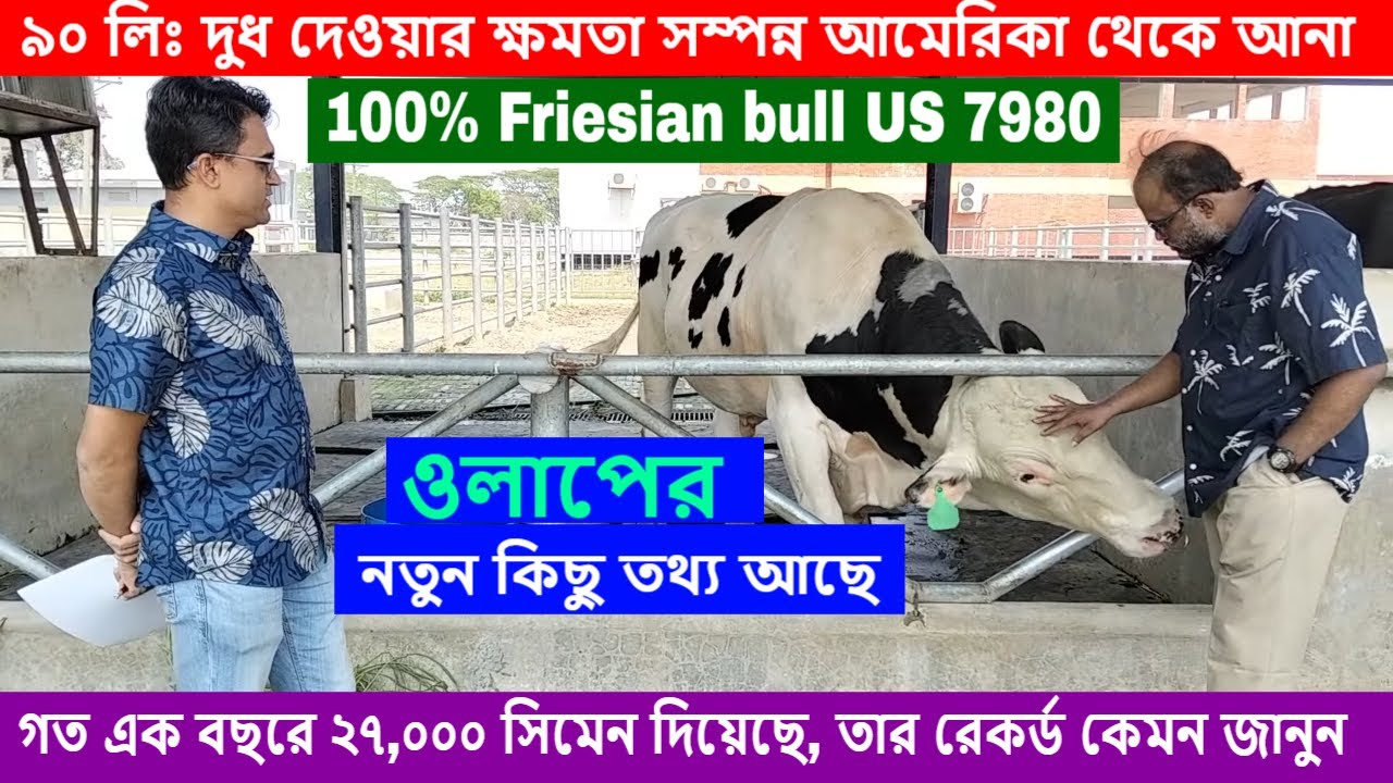 Daria Sagalovaning striptiz videosini tomosha qiling Yalangoch Navka Guseva Daineko