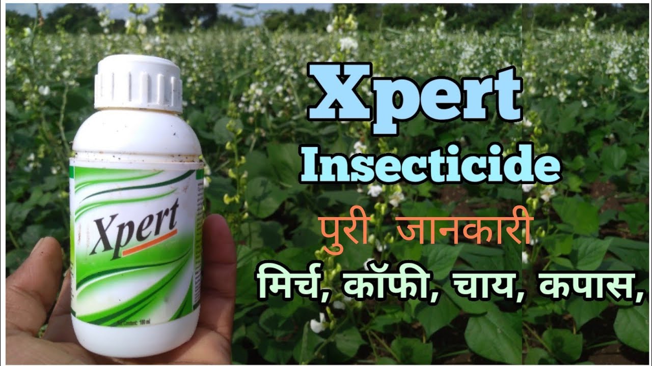 Xpert Insecticide Pasura Crop Care DA6 1 5 N ATCA 1 0 Xpert Insecticide Pasura Crop Care DA6 1 5 N ATCA 1 0