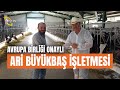 Avrupa Birliği Onayı Ari Büyükbaş İşletmesi! - Büyükbaş Dünyası