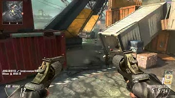 StabbyMcHatchet - Black Ops II Dual Wield Executioners