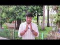 Any Student Who Has Scored More Than 45% In 12th Board Exams #msubaroda #msuniversity #msu #bcom #ba