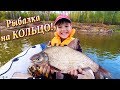 Рыбалка на Снасть КОЛЬЦО! Утренний Клёв - Закончились Каникулы !