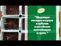 Лайфхак. Щадящая посадка огурцов и арбузов в китайских контейнерах в грунт.  Гусар Любовь.