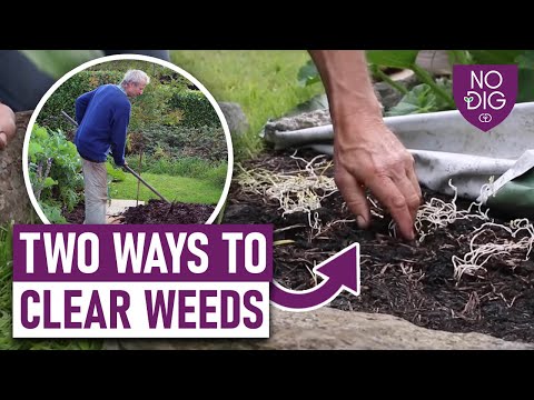 No Dig Two Ways To Clear Weeds Youtube