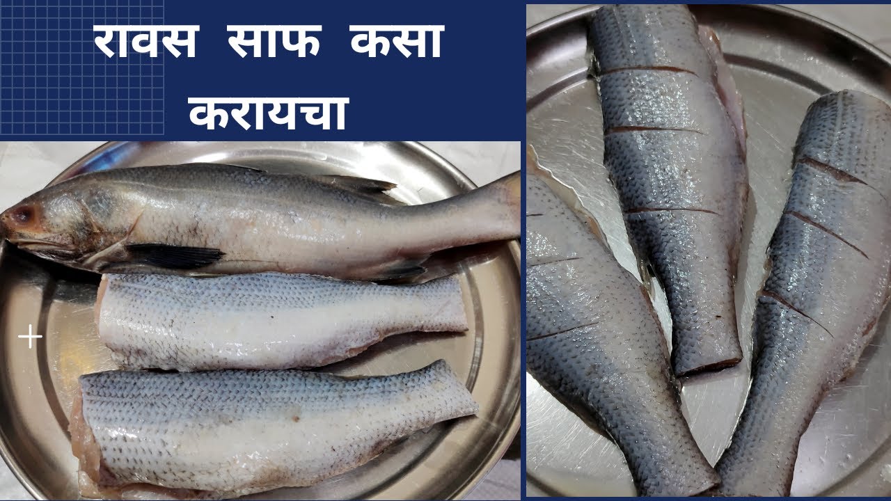 Marathi Fish Salmon Fish In Marathi