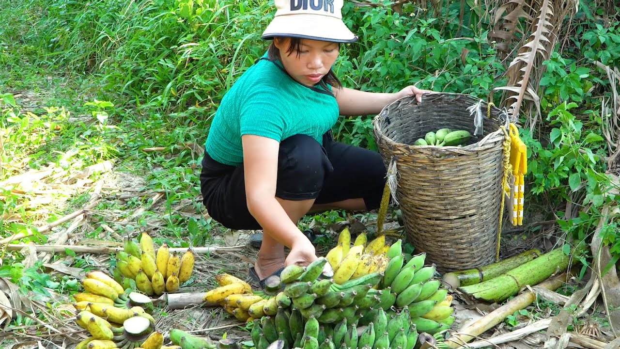 single mother harvests bananas to sell at the market - cooks for mother ...